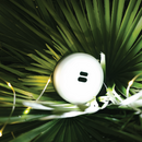 LP177 | 300 Lumen Retractable LED String Light, 4 Piece Case